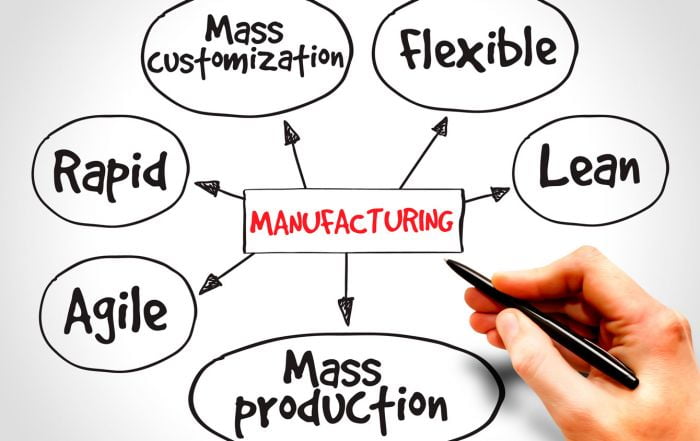 Consiste Lean Manufacturing Principal