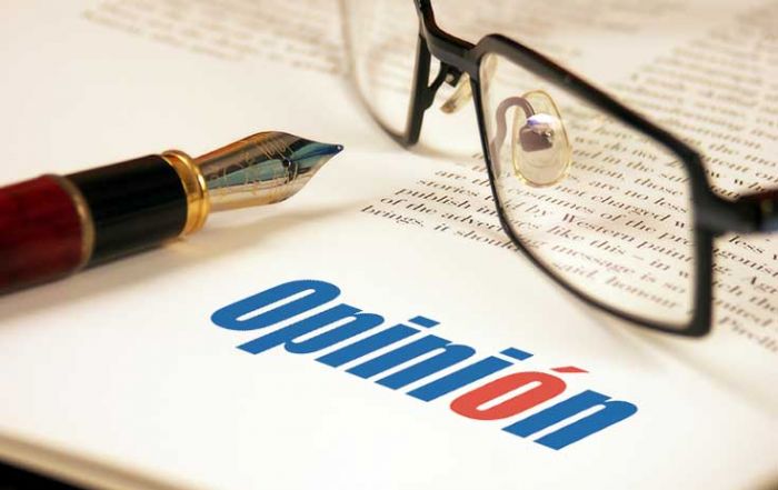 articulo diario opinion