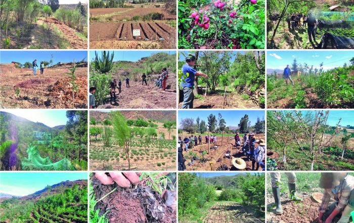 CARTILLA N° 1 Página 35