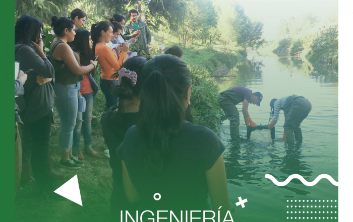 Ing Ambiental