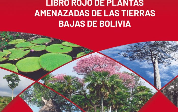 PORTADA LIBRO ROJO 2