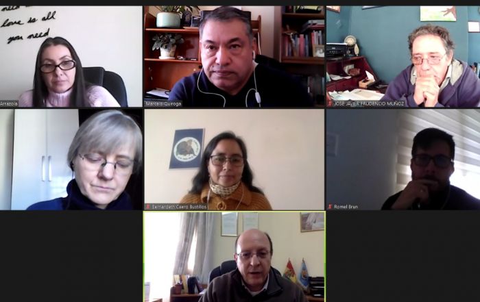 Reunion virtual del Grupo