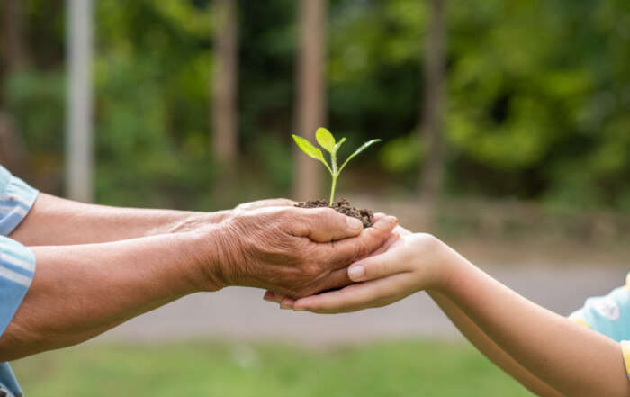 elderly person and children holding plant