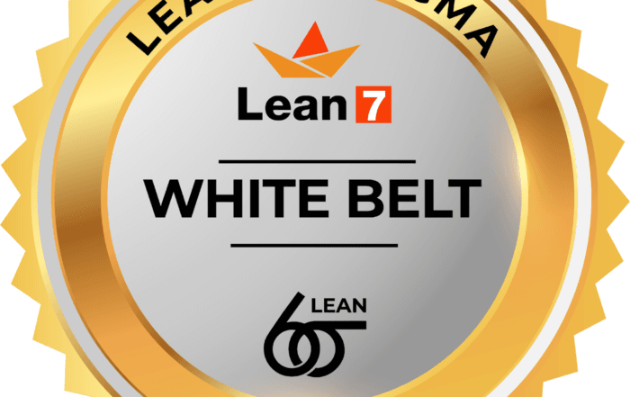 Insignia Lean Six Sigma White Belt 04