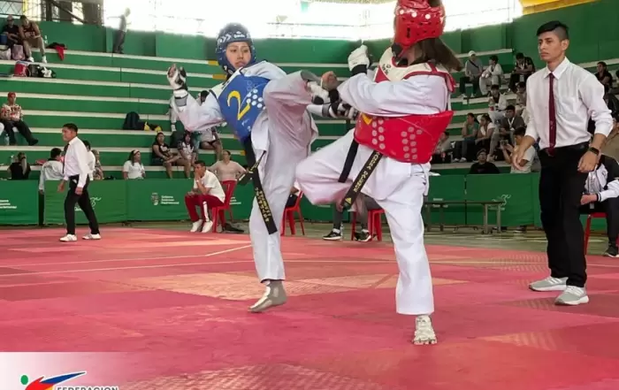 taekwondo 6 resize