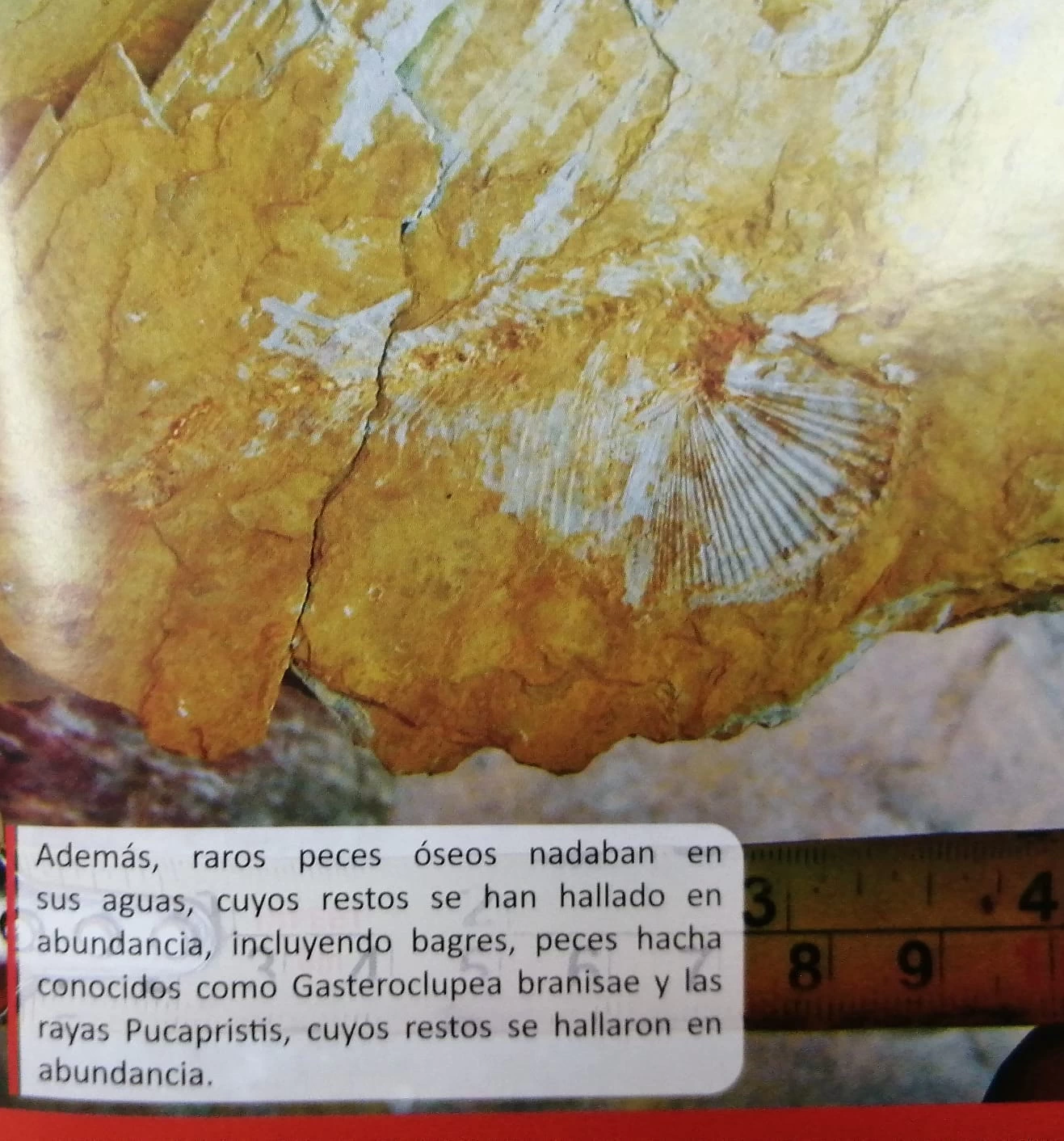 Viaje Académico Intersedes de Ingeniería Ambiental al Departamento de Sucre (11) Viaje Academico Intersedes de Ingenieria Ambiental al Departamento de Sucre 11